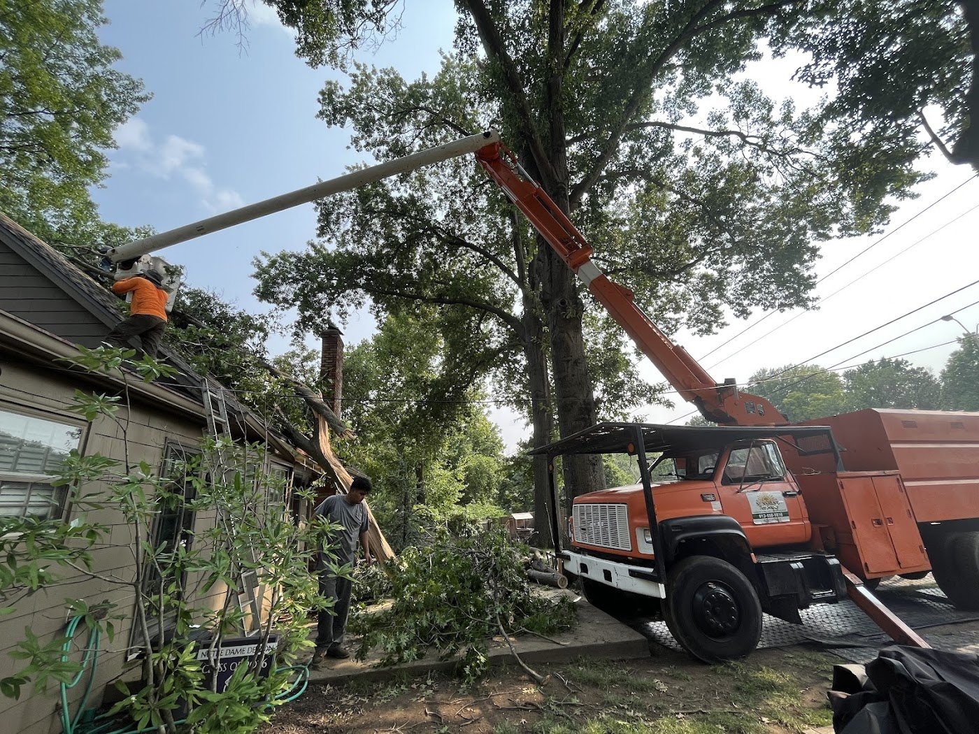 The Sunshine Tree Service bucket truck reaching over a rooftop to remove a large tree.