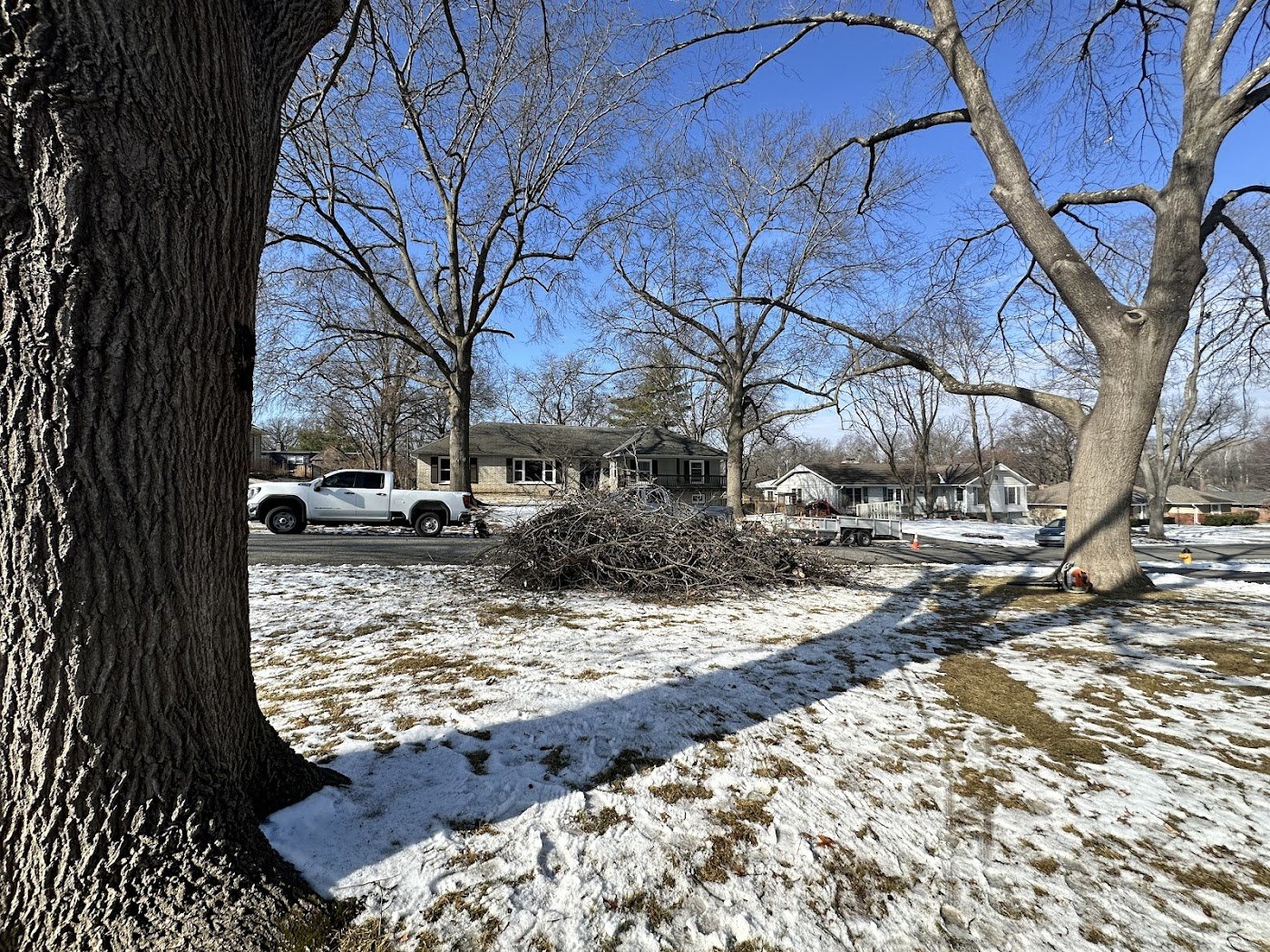 Winter trimming job with brush stacked for pickup.