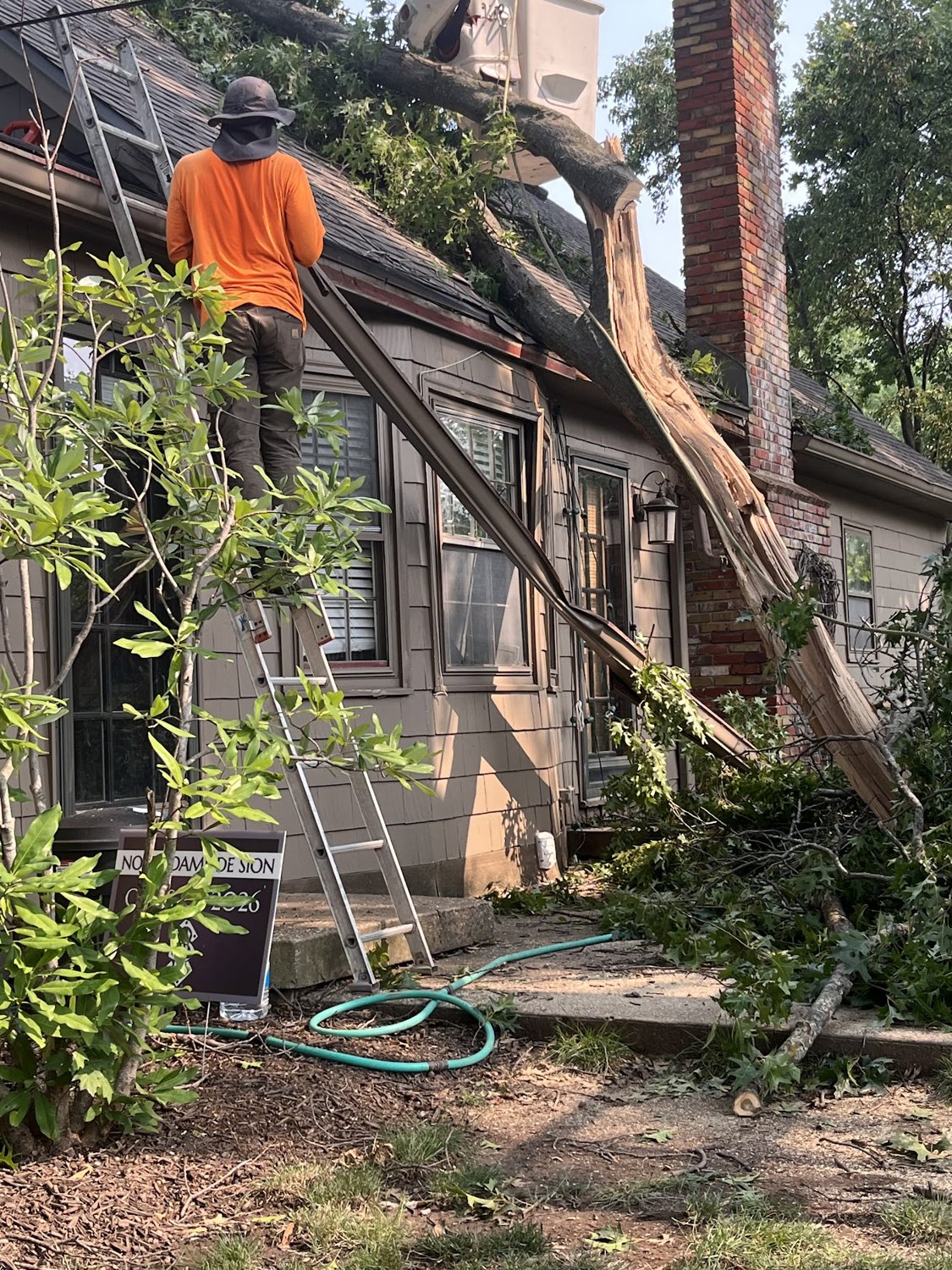 A Sunshine crew member on a ladder working a large limb off a storm-damaged roof.