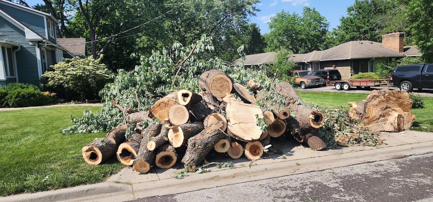 Sectioned logs stacked at the curb after a Sunshine tree removal.
