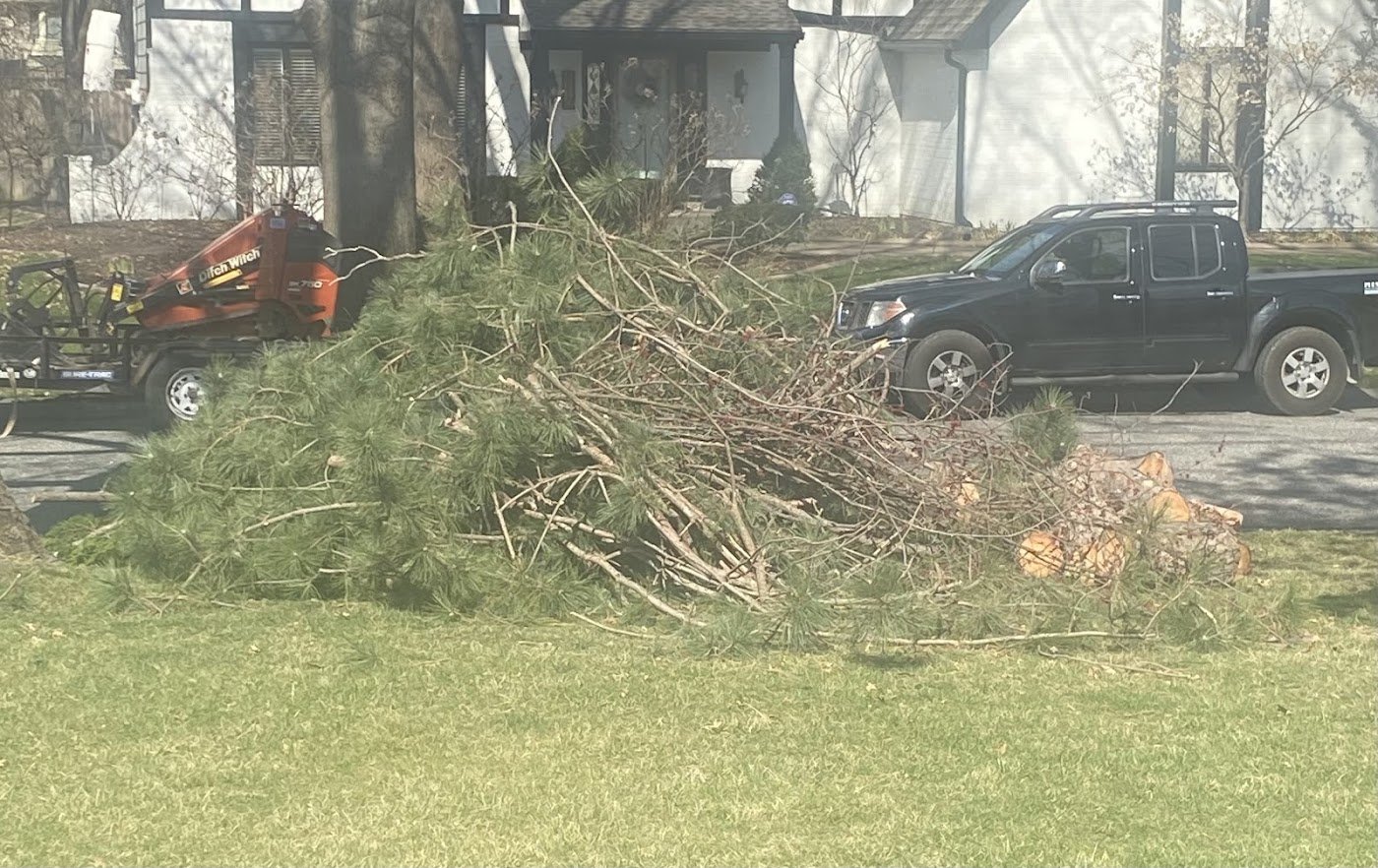 The stump grinder on a trailer beside a fresh brush pile.