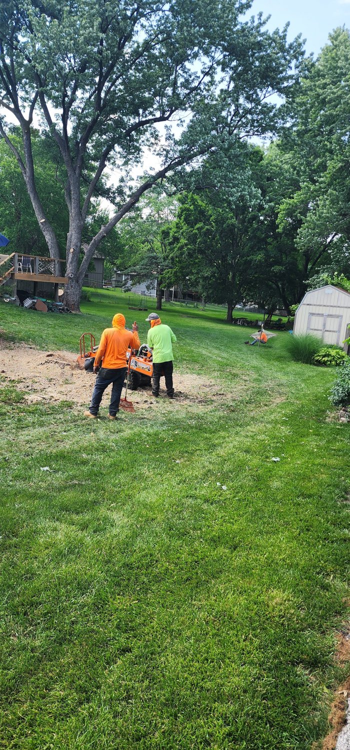 The Sunshine crew grinding out a stump in a backyard.